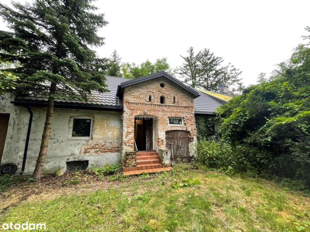 Działka zabudowana 2100 m2 w Wołominie Nowe Lipiny - Pełny obrazek: 5/9