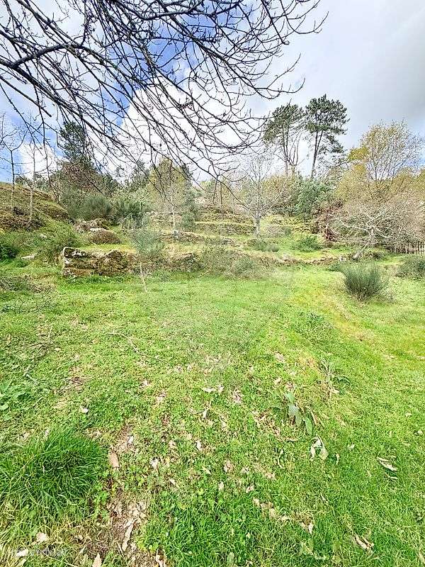 Terreno  para venda - Grande imagem: 3/7