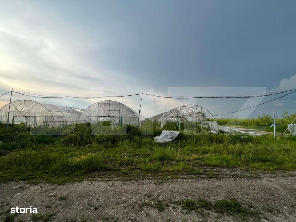 Teren partial intravilan 23.500 mp, apa, curent si supraveghere video, - Imagine principală: 3/11