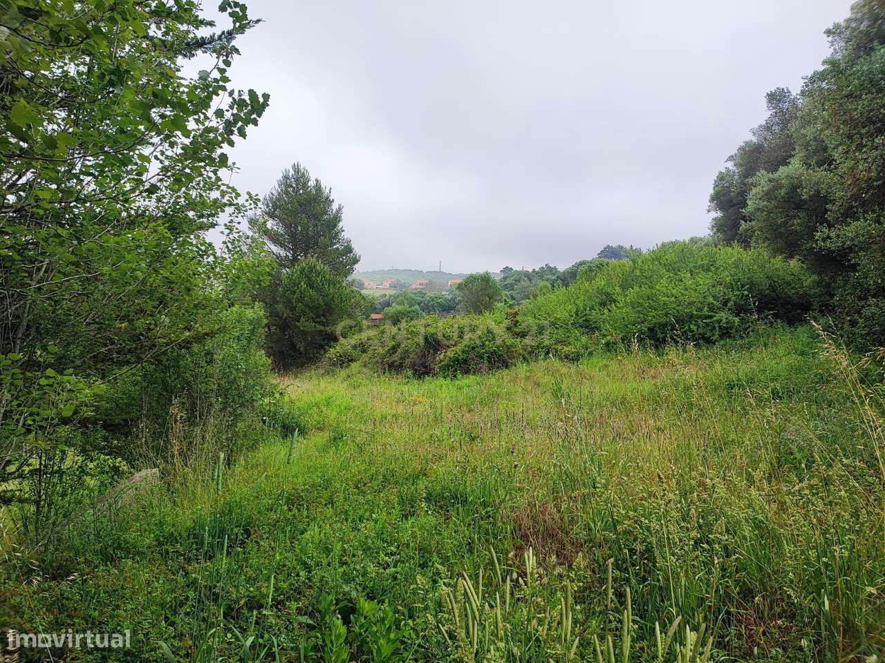 Terreno Rustico – Lourel Sintra - Grande imagem: 4/22