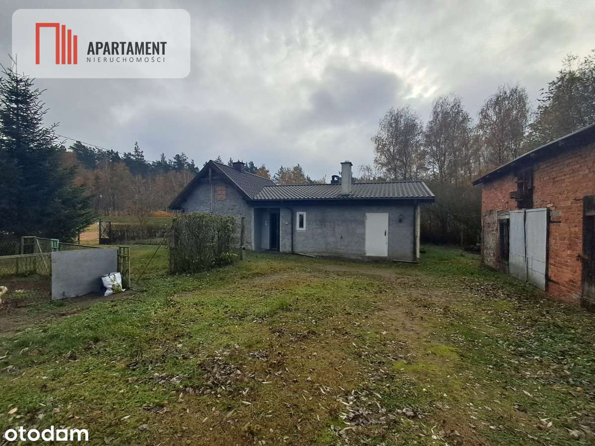 Uroczy domek w lesie. Gmina Kcynia - Pełny obrazek: 4/12