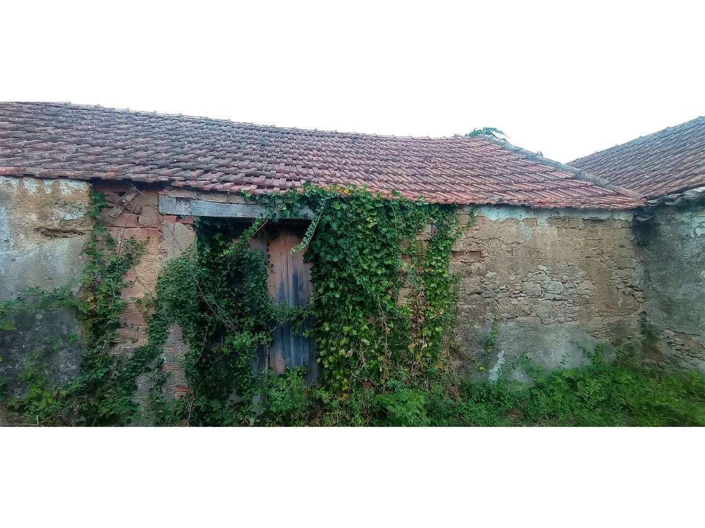 Adega / Armazém com projecto de arquitetura para conversão em morad...-10