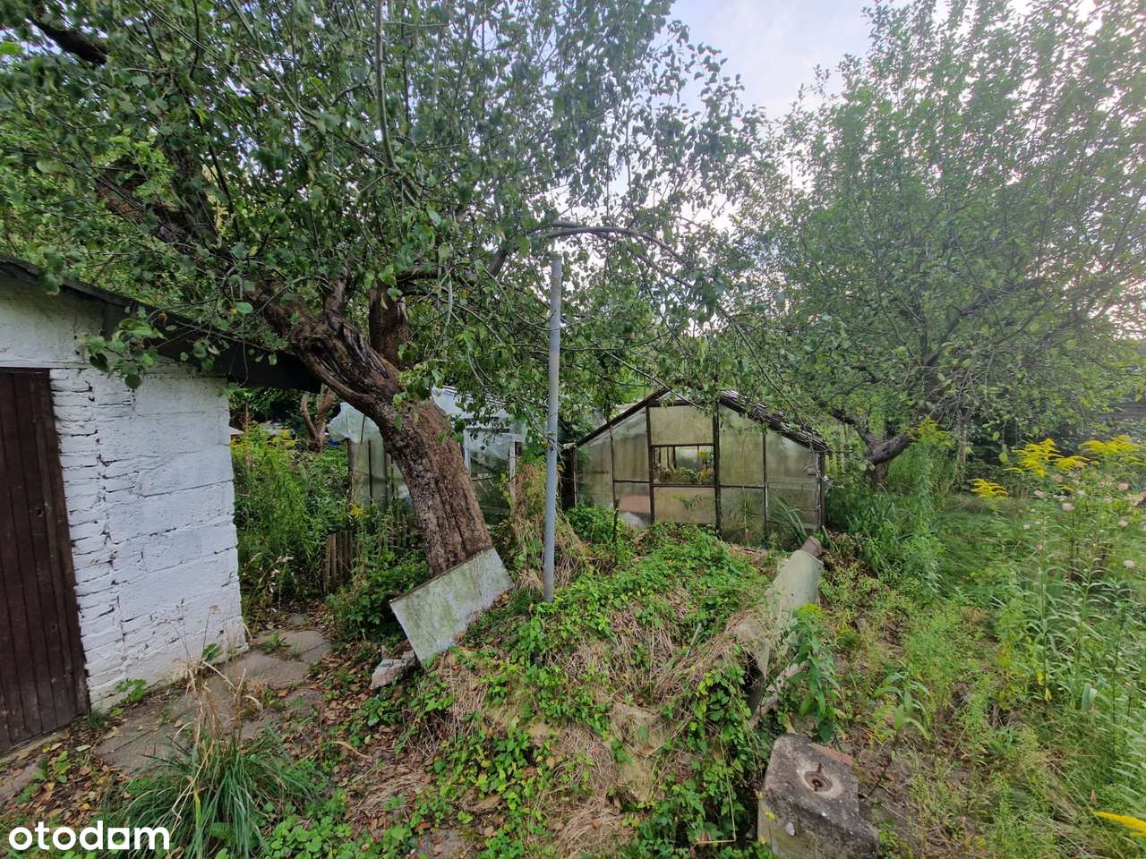 OKAZJA! Sprzedam działkę ROD – Jelenia Góra - Murowany Domek - Pełny obrazek: 4/7