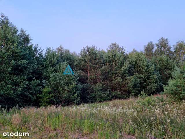 Działka z potencjałem nad brzegiem jeziora Cheb - Pełny obrazek: 4/8