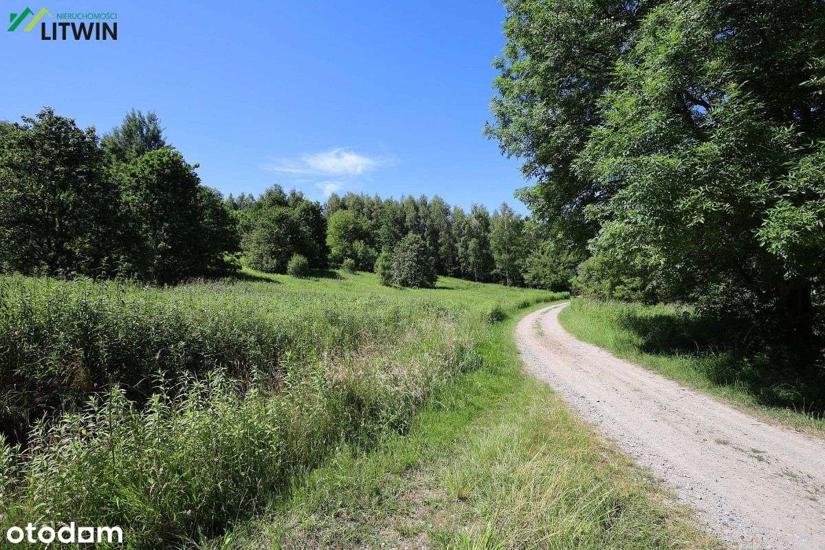 Działka rolna 90 arów w gm. Jodłowa - został złożony wniosek o WZ - Pełny obrazek: 4/6