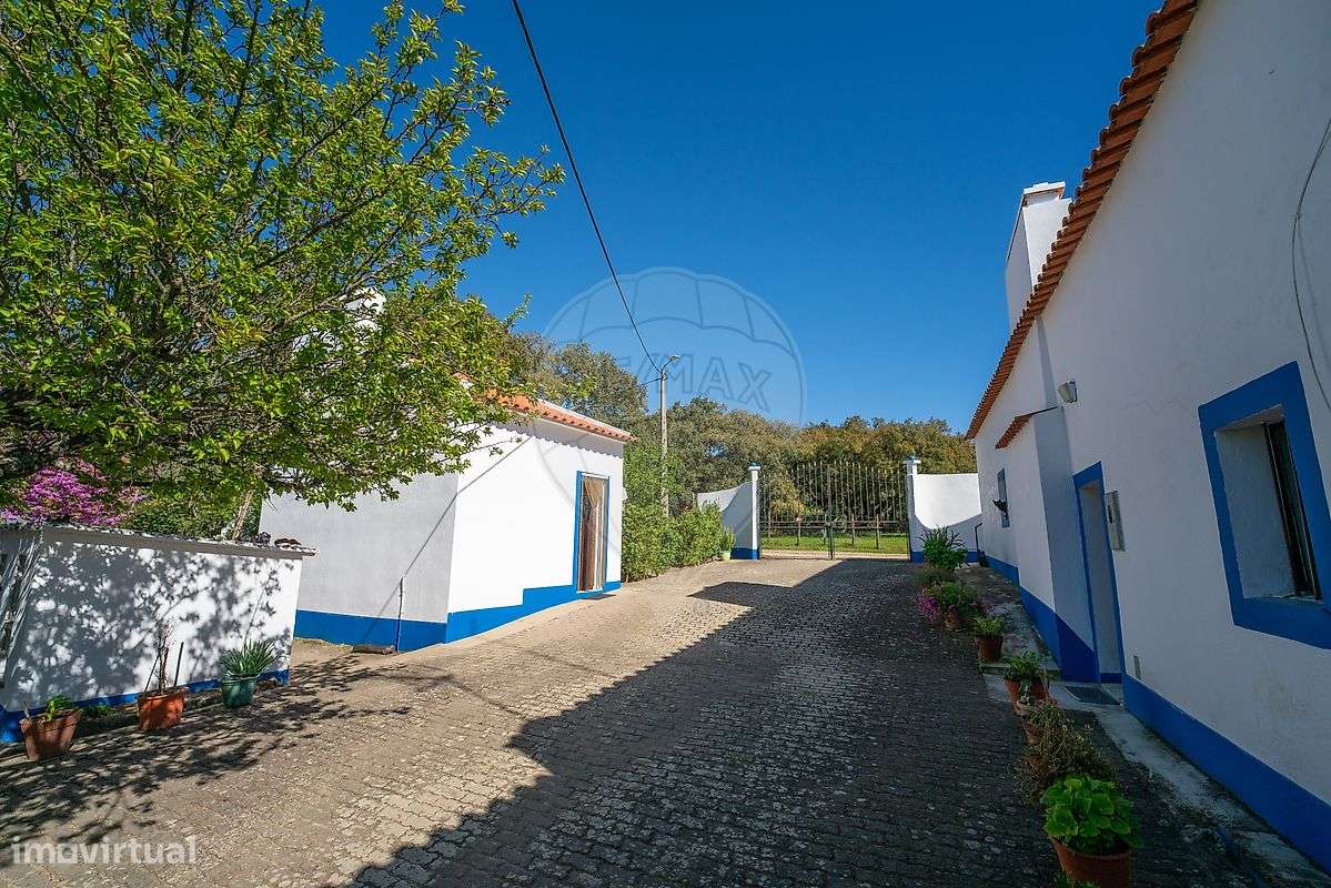 Quinta T6 para venda-14