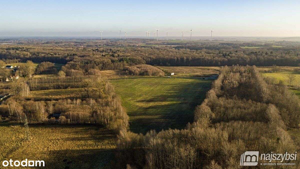 Białogard-teren usługowo-produkcyjny-zgodny z Mpzp - Pełny obrazek: 5/15