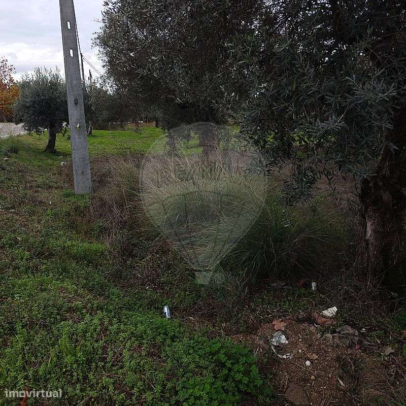 Terreno  para venda - Grande imagem: 3/11