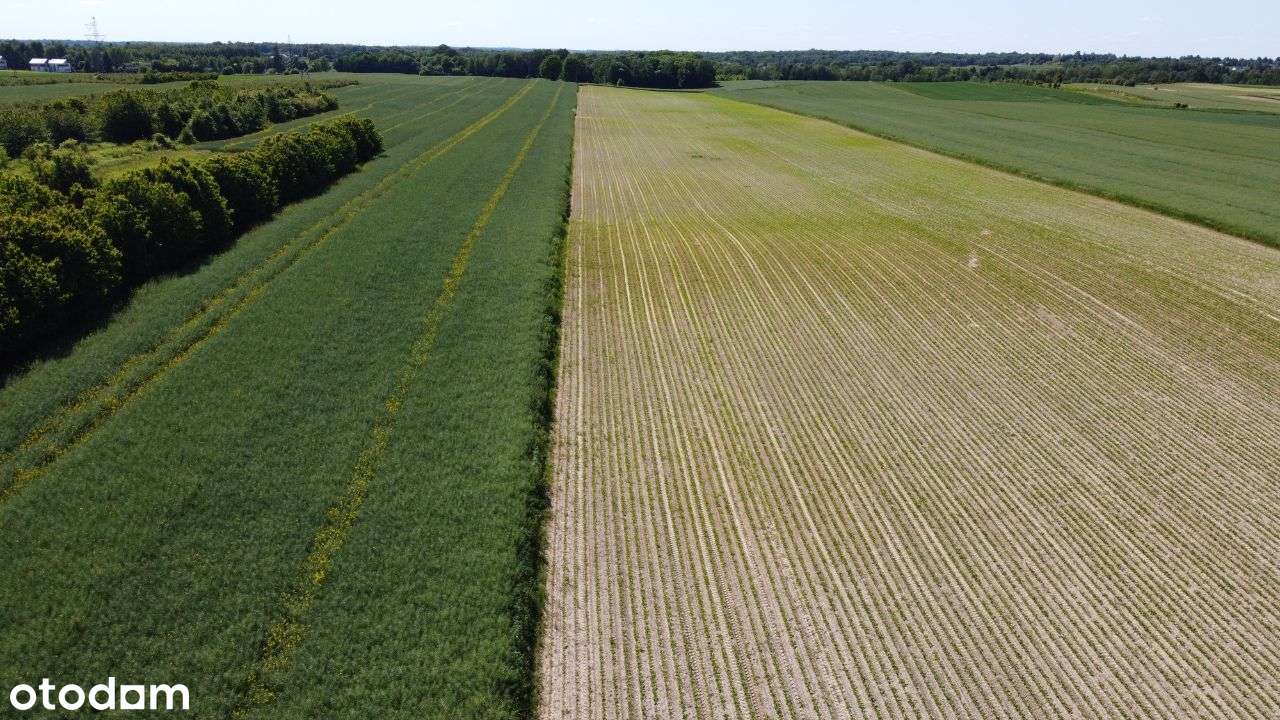 Działki budowlane z warunkami-Nałęczów 0,14ha - Pełny obrazek: 5/9