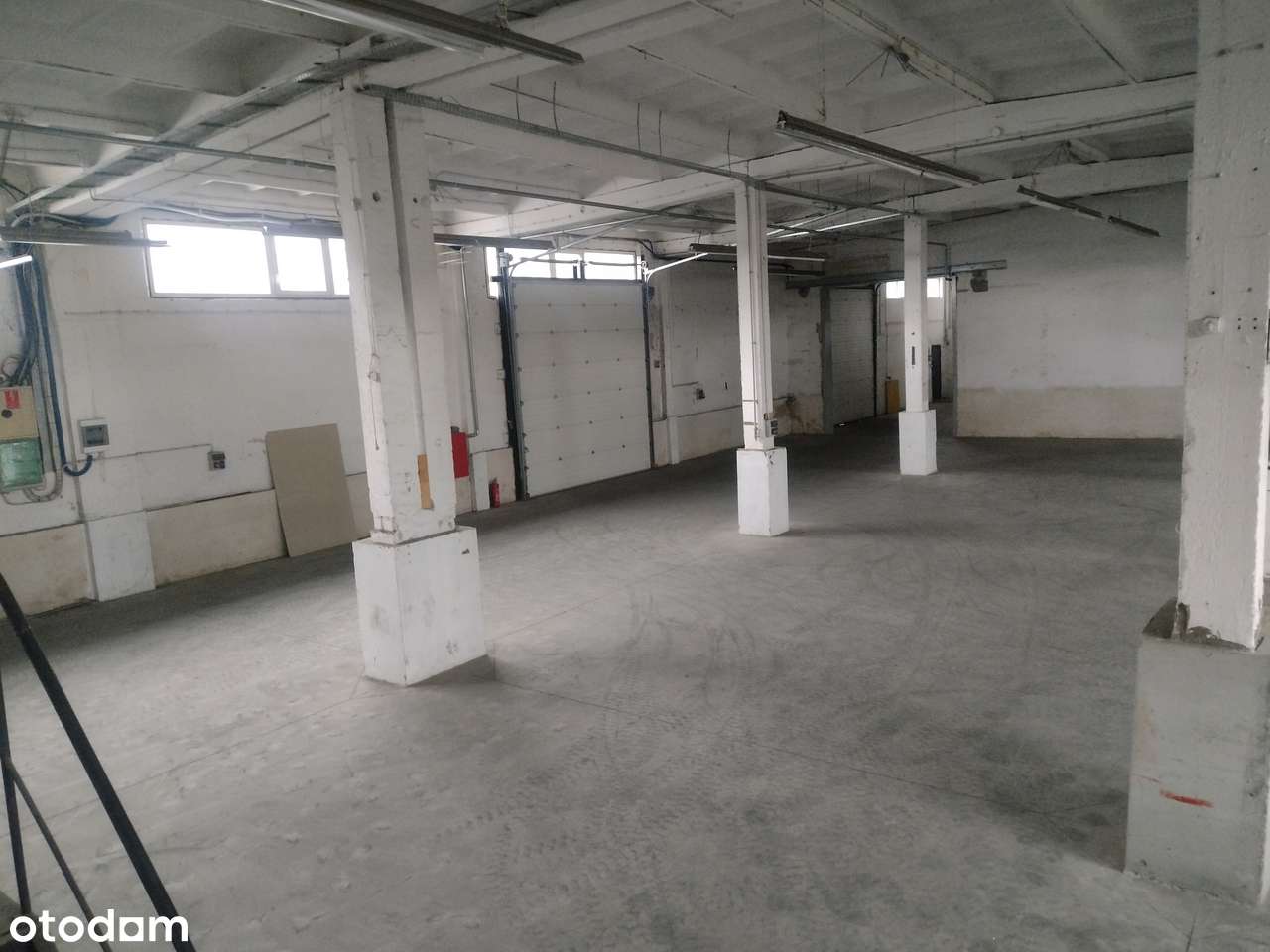 Hala ogrzewana na sprzedaż-0