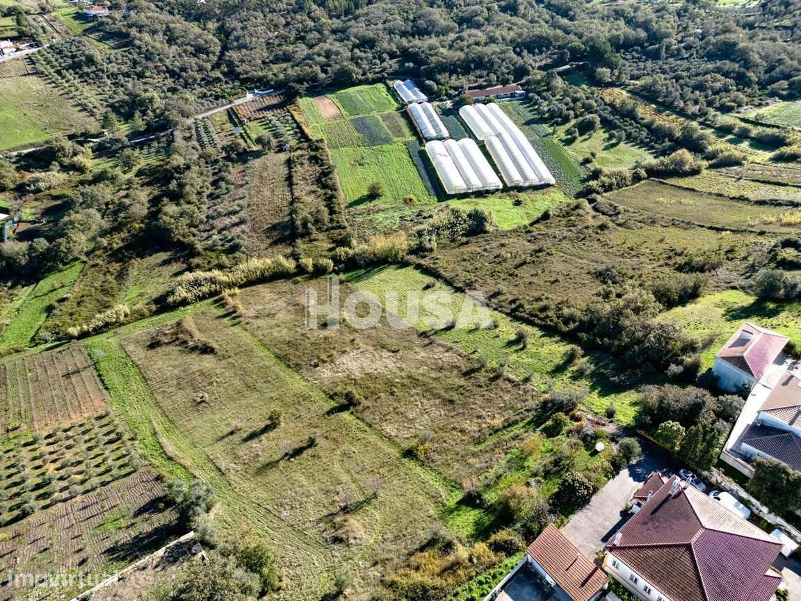 Terreno Rústico com 7.670m² nos Golfeiros – Batalha-7