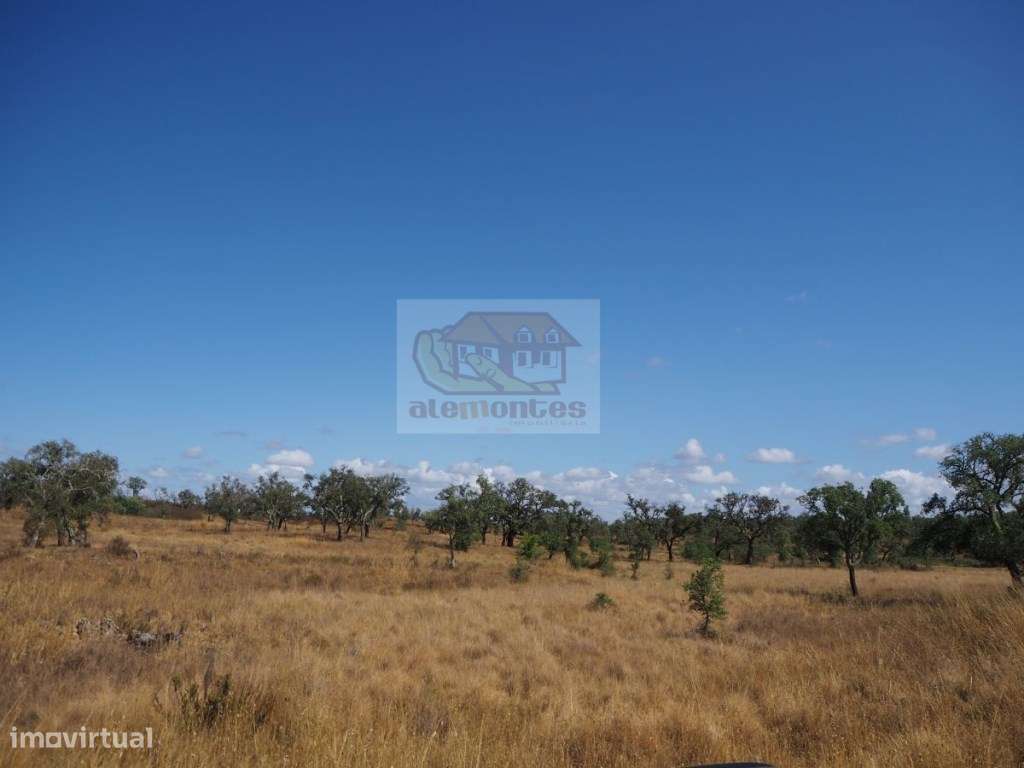 Propriedade com 31 hectares na serra de Grândola - Grande imagem: 3/8