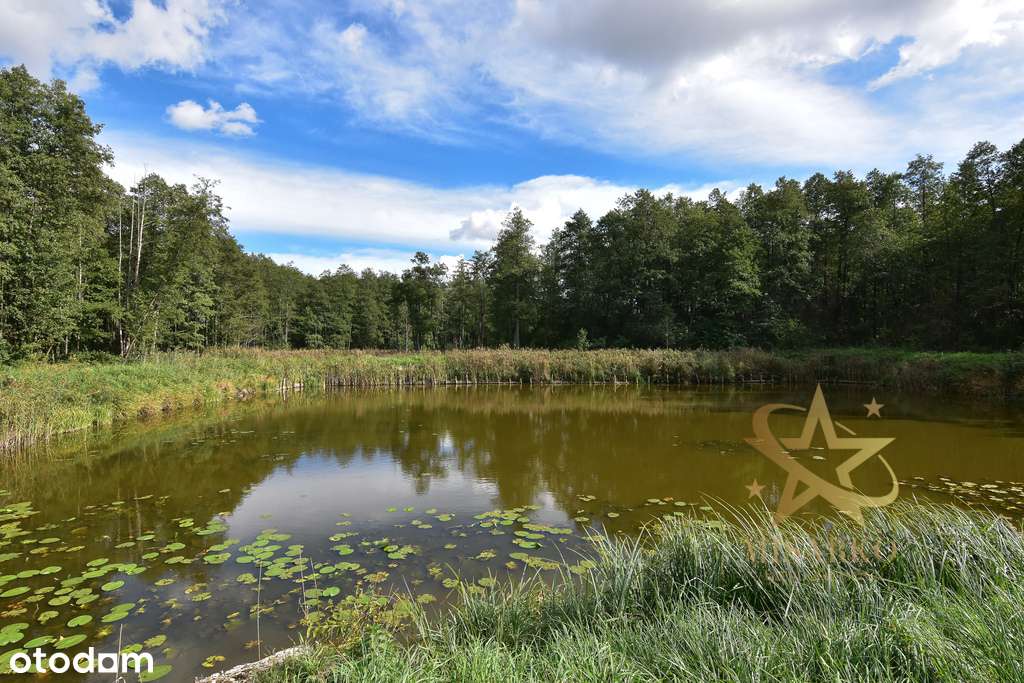 *Urocze miejsce*Morgi*6 ha inwestycji* - Pełny obrazek: 5/14