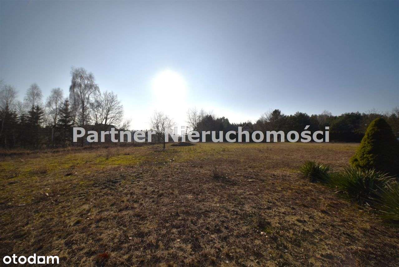 Lubicz działka pod lasem, Drwęca, duża - Pełny obrazek: 5/6