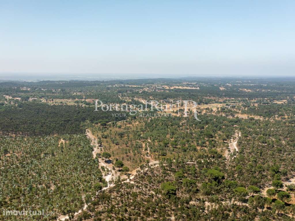 Quinta de 20ha com projeto para Turismo Rural a 1h de Lisboa-9