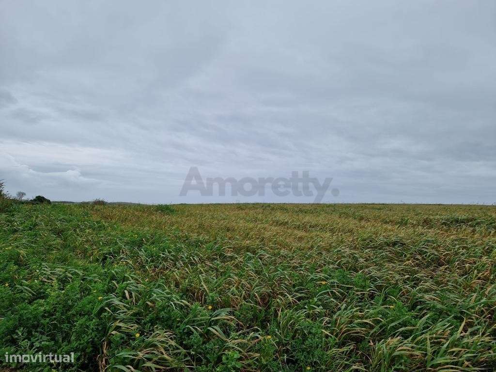 Terreno Para Agricultura em Torres Vedras-5