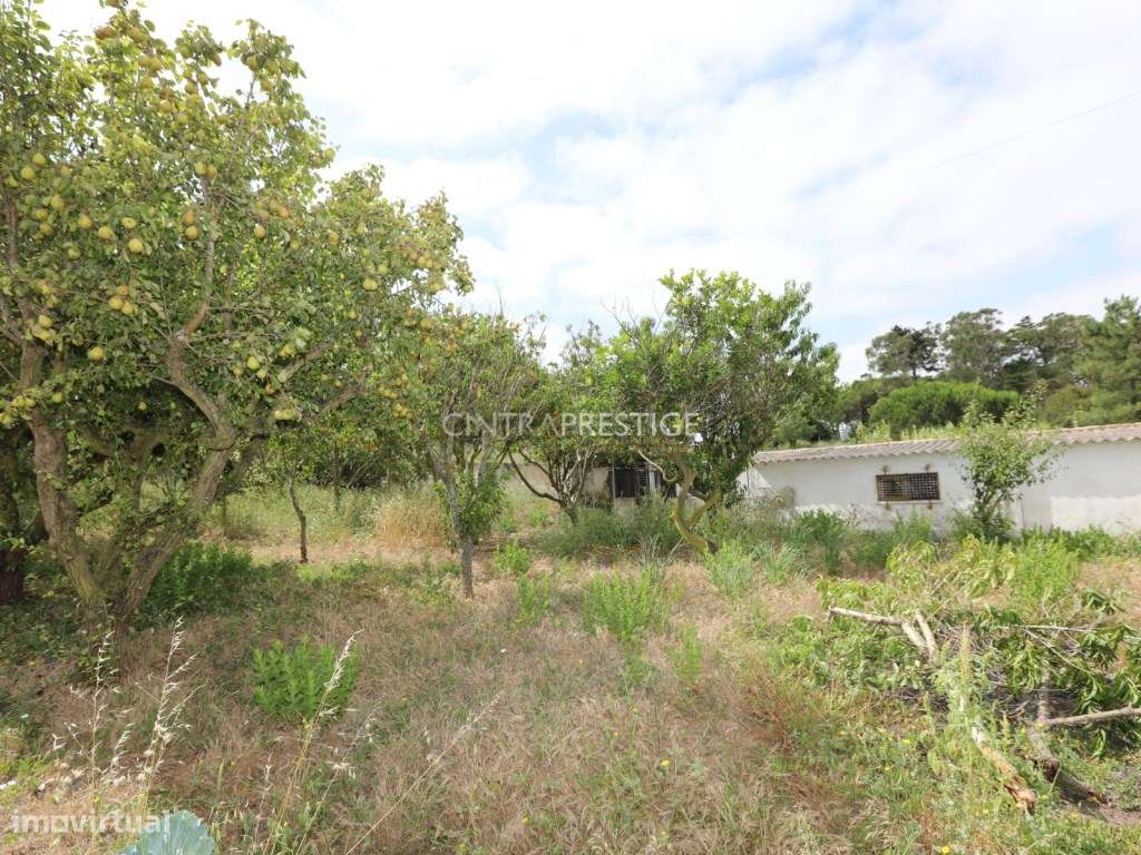 Moradia Isolada de 7 Assoalhadas em Montelavar - Sintra-30