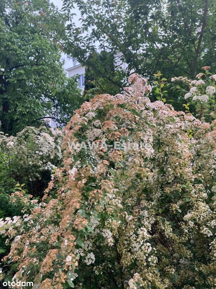 Śródmieście. Dwa pokoje. Po remoncie. Metro.-18