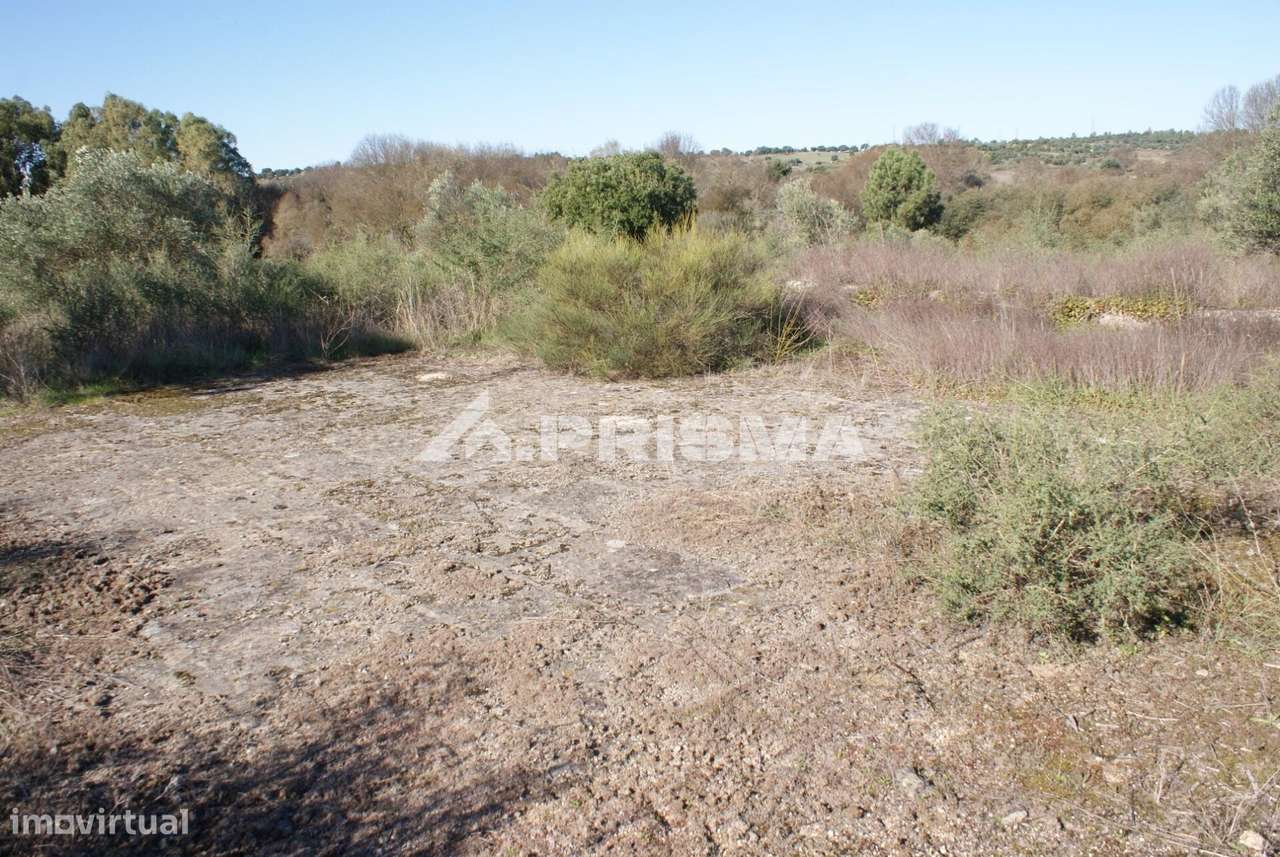 Oportunidade Única às Portas de Castelo Branco!-25