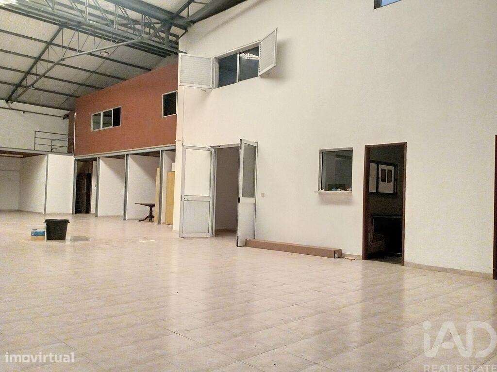 Armazém em Areias e Pias de 1200,00 m2 - Grande imagem: 4/15