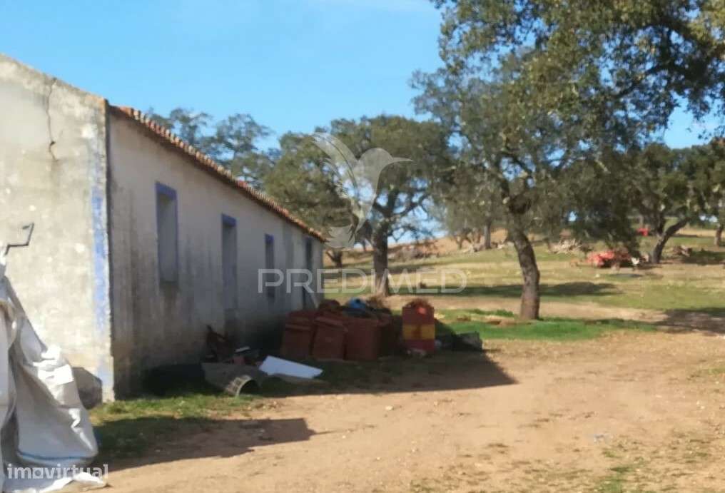 Monte no Litoral Alentejano com casa para recuperar - Grande imagem: 4/39