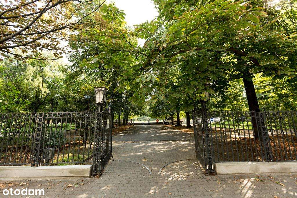 Lokal inwestycyjny przy Parku Wilsona | Najem / Usługi | 33 m²-16