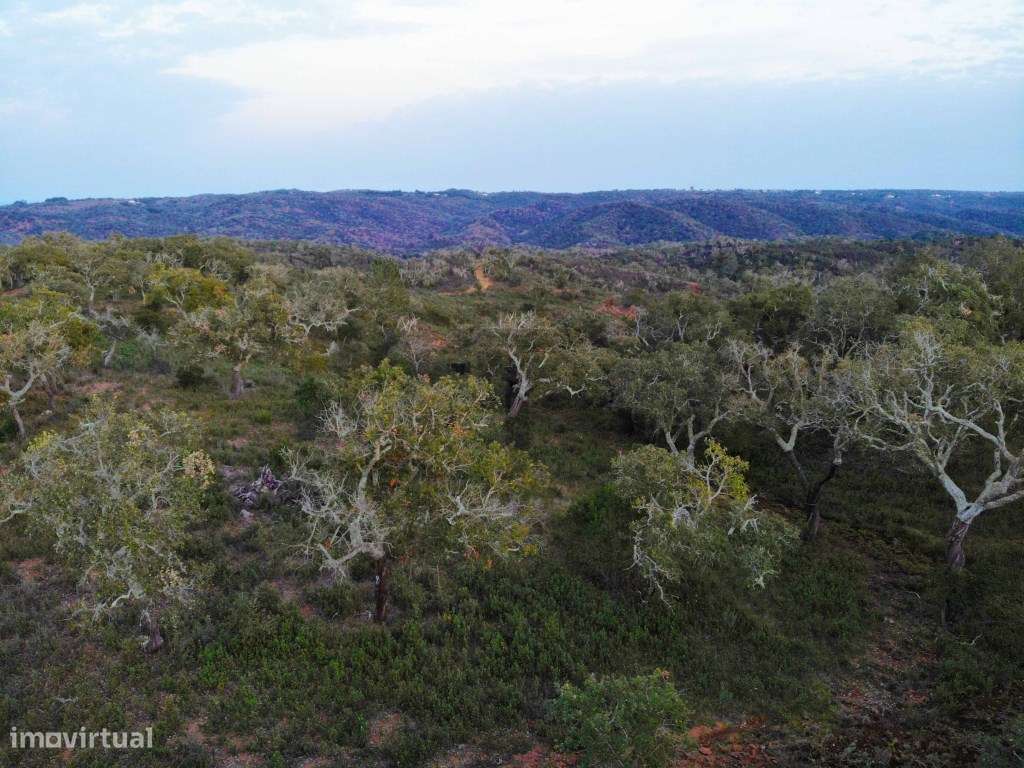 Terreno para Venda com 34 Hectares com Ruina na Serra de Grândola /...-6