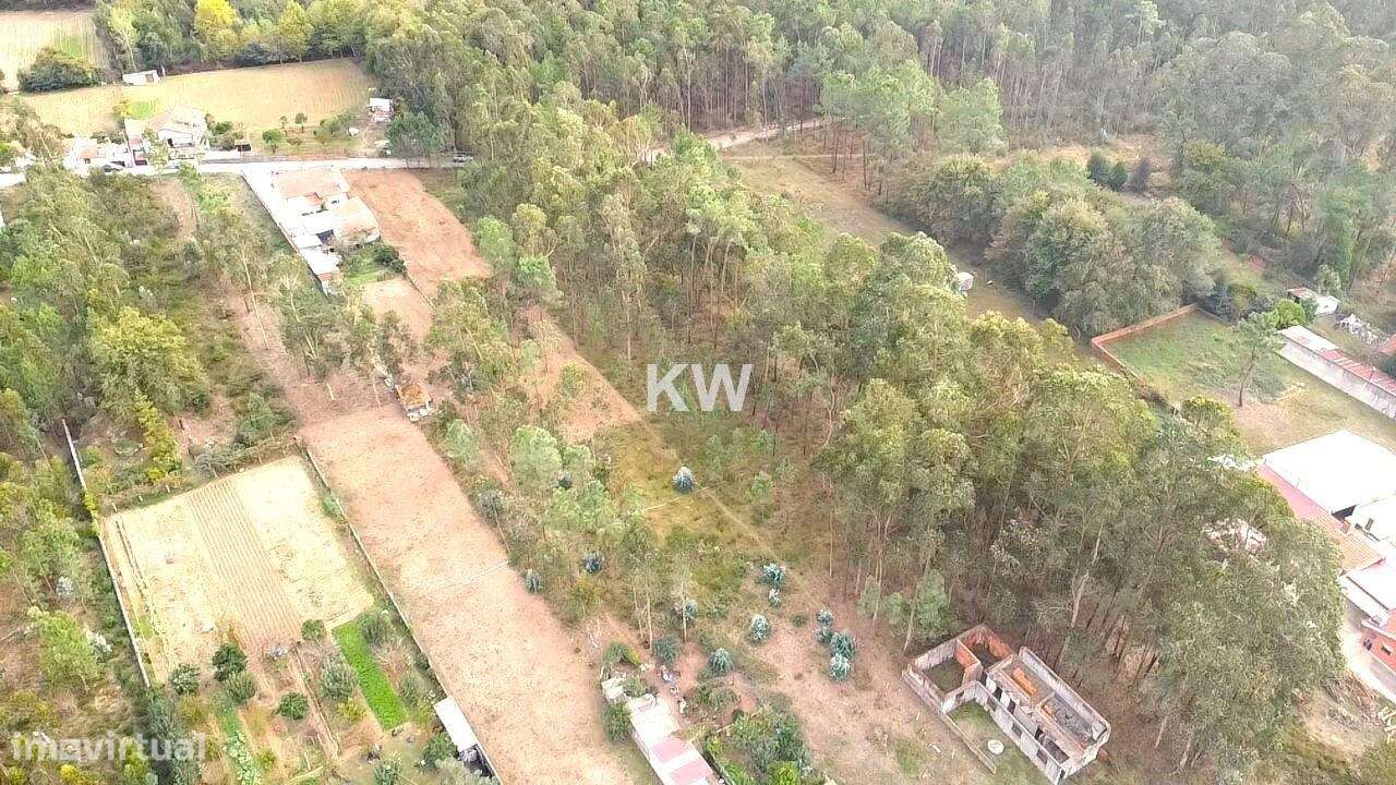 Terreno Plano para Construção em Souto, Santa Maria da Feira - 1977m2 - Grande imagem: 5/15