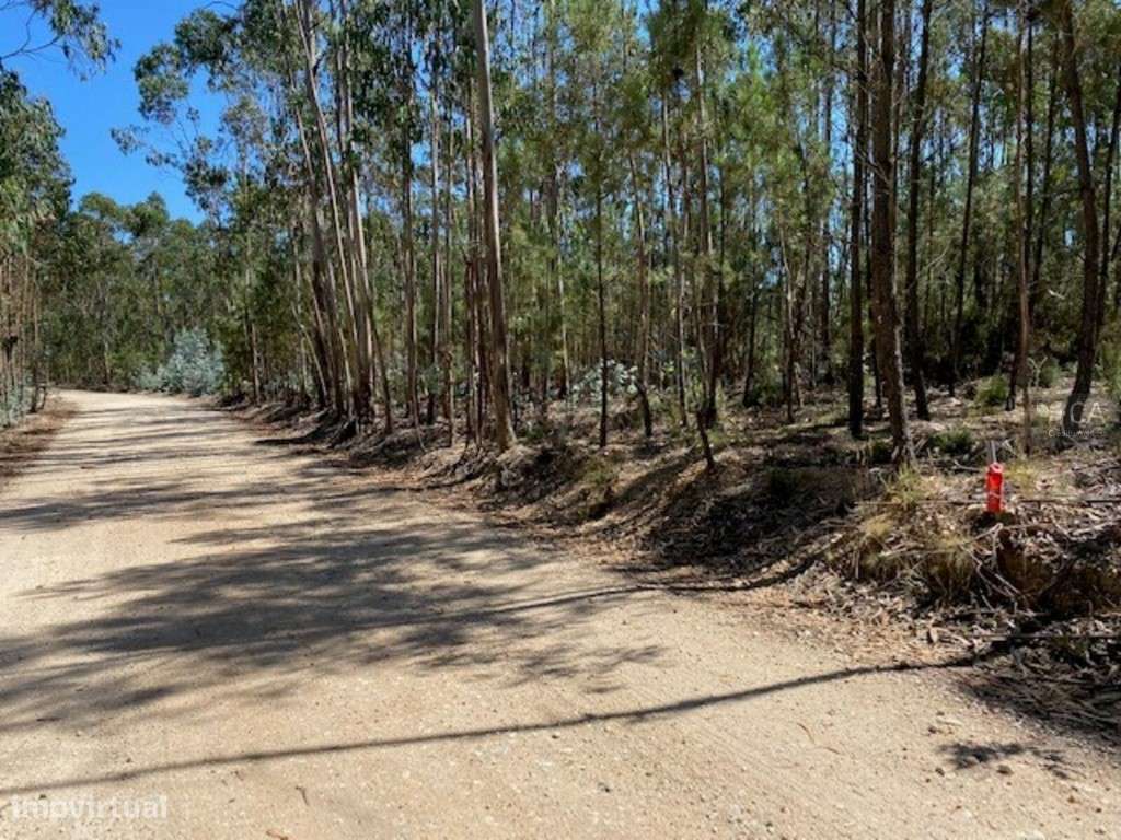 Terreno - Grande imagem: 5/7