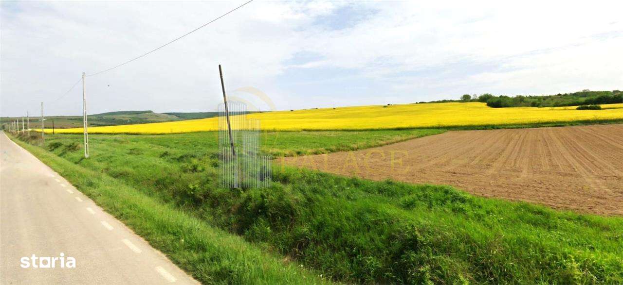 Teren agricol 64 ha comasat| Deschidere 800 m la drum comunal | Utilit - Imagine principală: 2/3