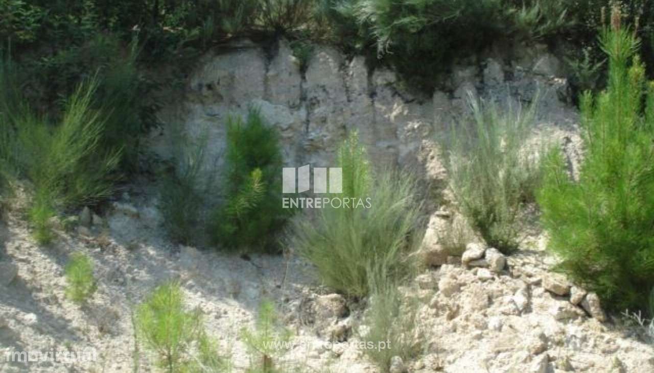 Venda Lote, vista desafogada, Grilo, Baião - Grande imagem: 3/8