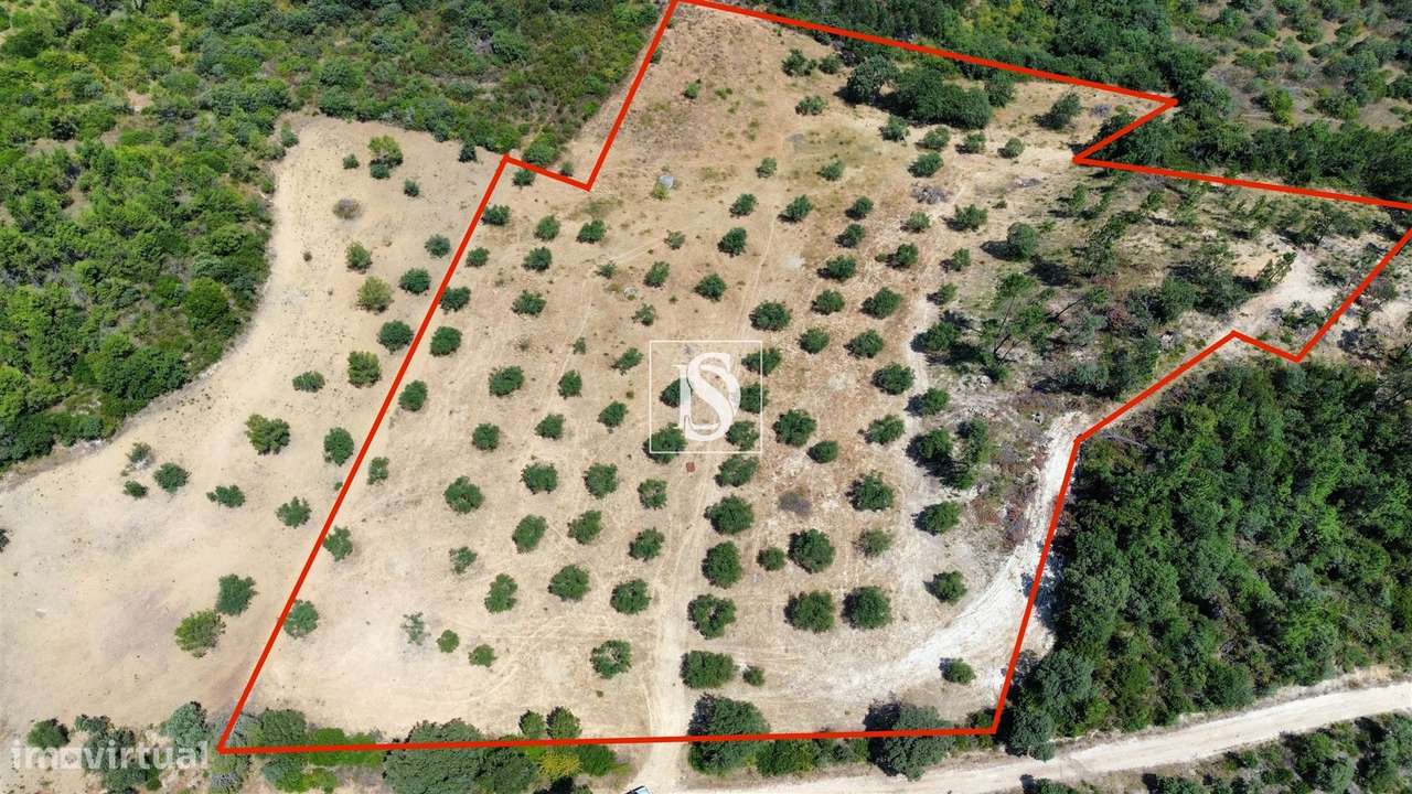 Terreno  Venda em Carregueiros,Tomar-0