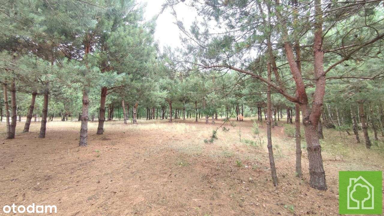 Działka, 1 008 m², Skudzawy - Pełny obrazek: 4/18