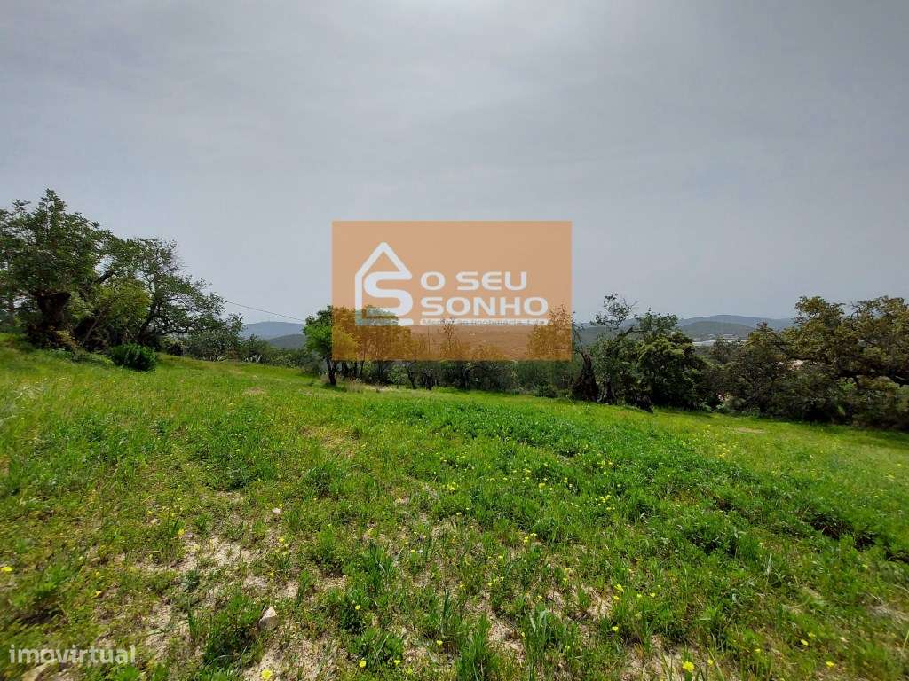 Terreno Rústico com vista serra - Grande imagem: 4/7