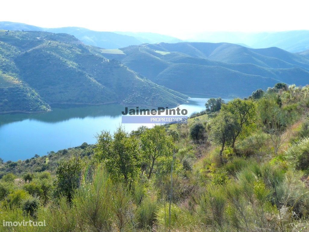 190 000 m2 com cortiça. Portugal, Trás-os-Montes, Alfândega da Fé