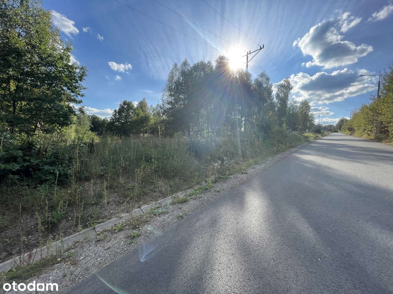 WZ | Media | Zalew w Suchedniowie | Kamionka | Droga asfaltowa | Las - Pełny obrazek: 4/20