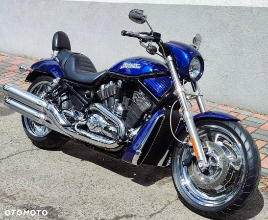 Harley-Davidson Softail V-Rod - 2