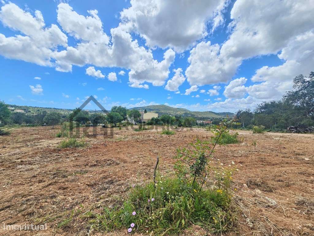 Terreno com casa antiga com 7300m2 a sul de Loulé - Grande imagem: 2/20