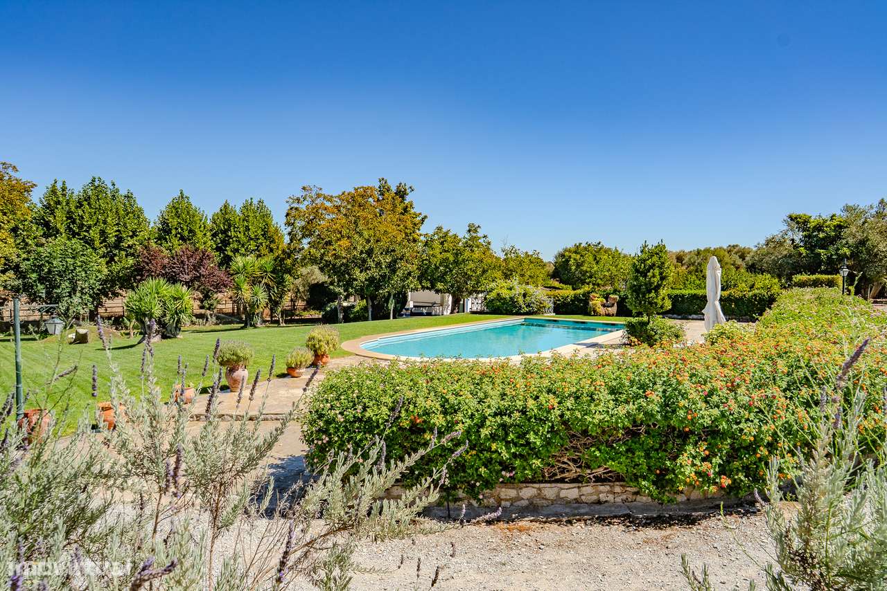 QUINTA 15 HA | VENDA | ÉVORA – ALENTEJO-39