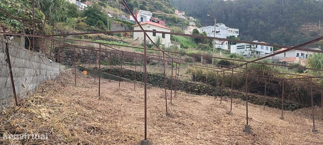 Terreno Urbano  Venda em Campanário,Ribeira Brava-9