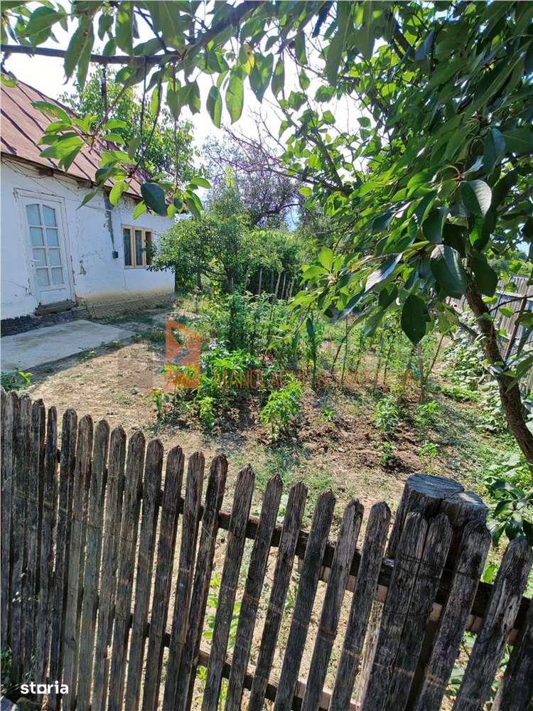 EXCLUSIVITATE! Casa batraneasca cu teren zona Magura - Imagine principală: 4/11