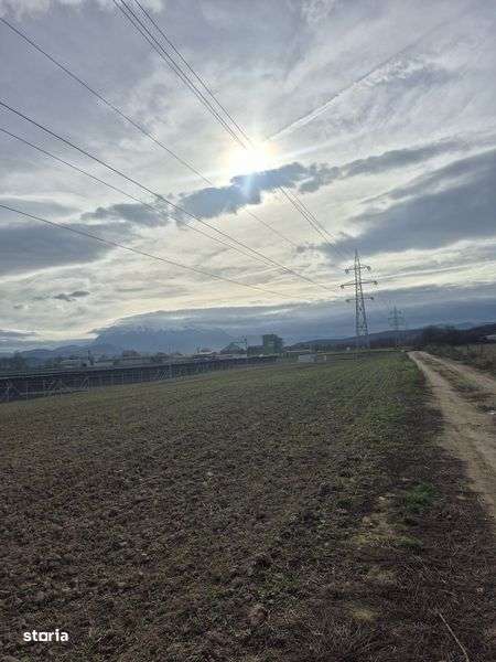 Teren arabil Vulcan - Colonia 1 mai - Imagine principală: 4/5