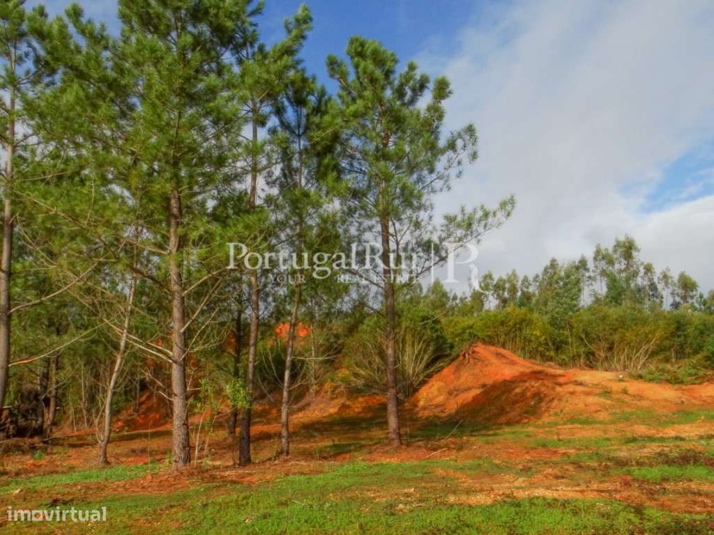 Terreno em Quinta da Sardinha - Grande imagem: 3/13