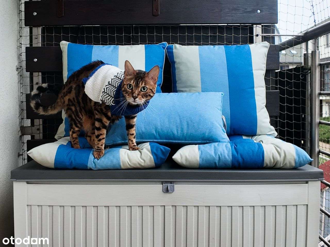 Nowoczesne 3 pokoje-2