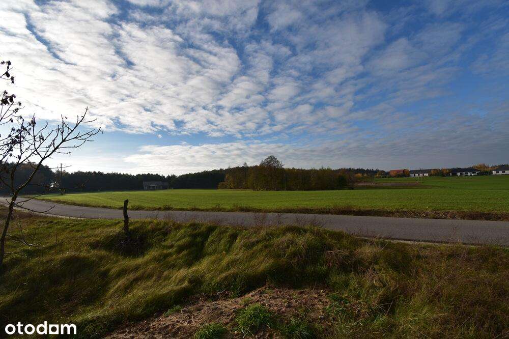 Budowlana przy lesie i jeziorze - Pełny obrazek: 5/9