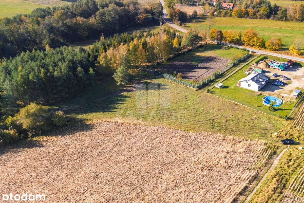 Działka budowlana 1434m2 przy lesie | Trąbki Małe - Pełny obrazek: 5/14