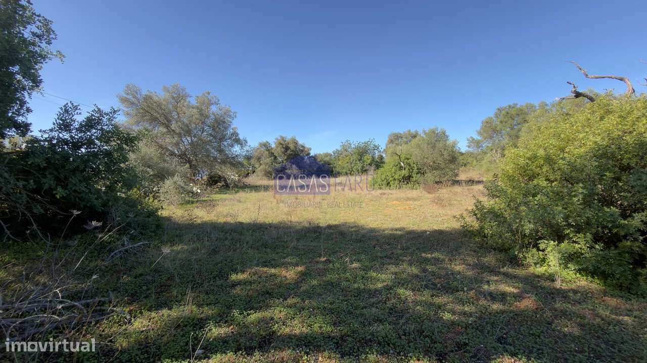 Terreno Rústico plano a 10min de Olhão. Oportunidade-7