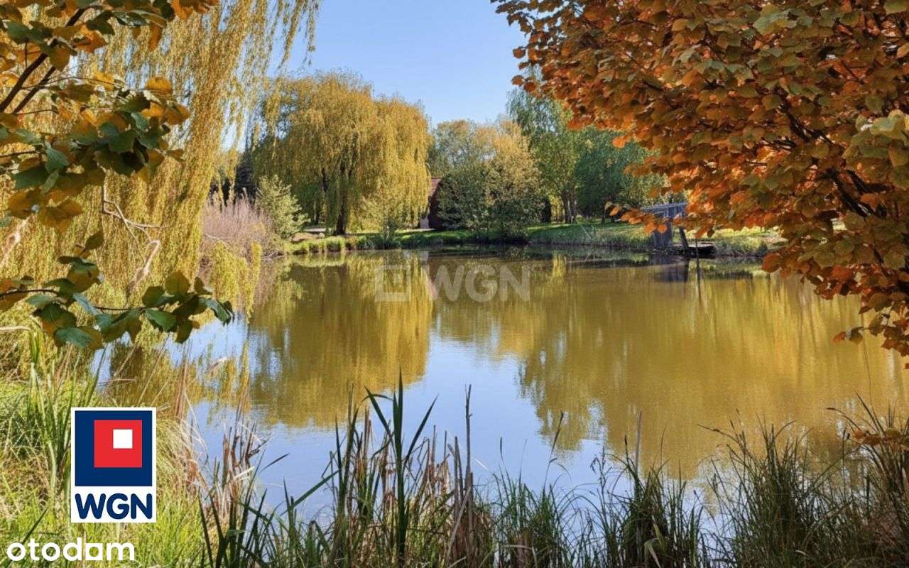 Stawy Łowisko komercyjne z domem Sokołowice-7