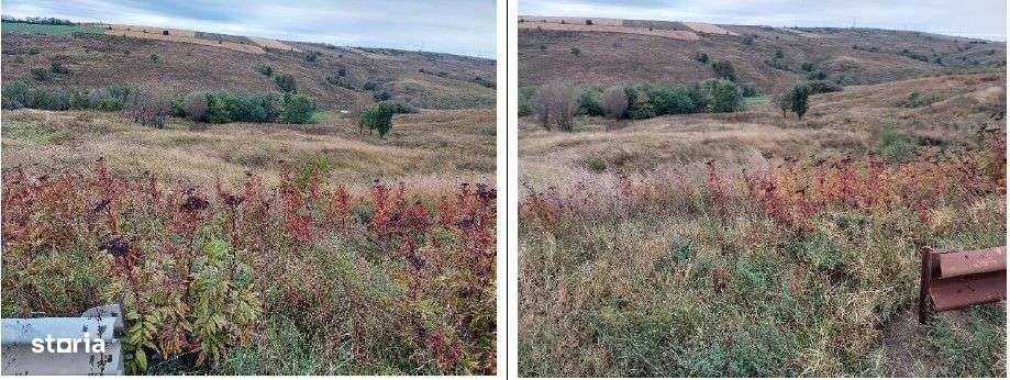 Teren extravilan pasune Ardeaoni, ID: R2404614 - Imagine principală: 4/9