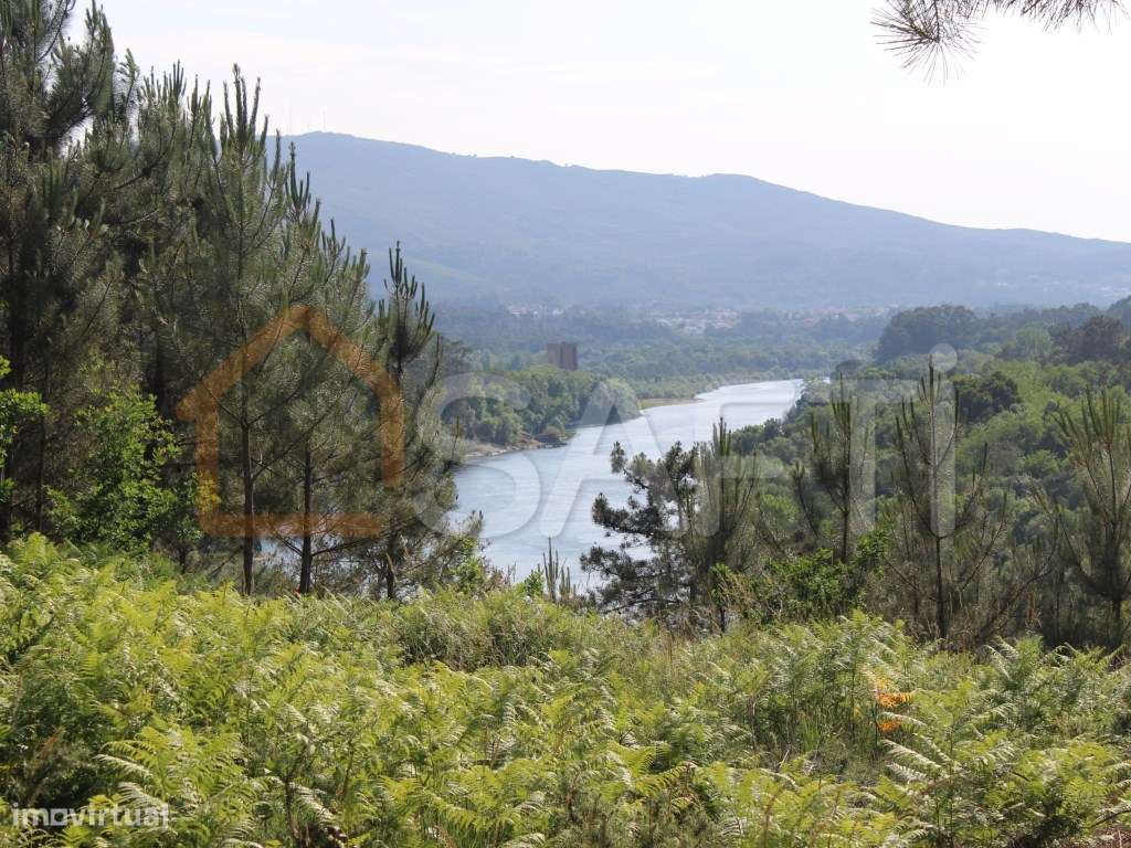 Terreno construtivo - Grande imagem: 4/13